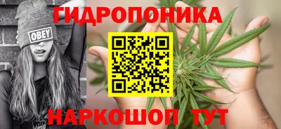 сатива Дубна