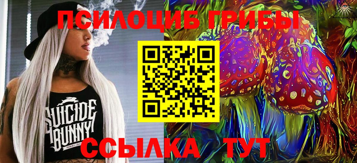 Галлюциногенные грибы GOLDEN TEACHER Арсеньев