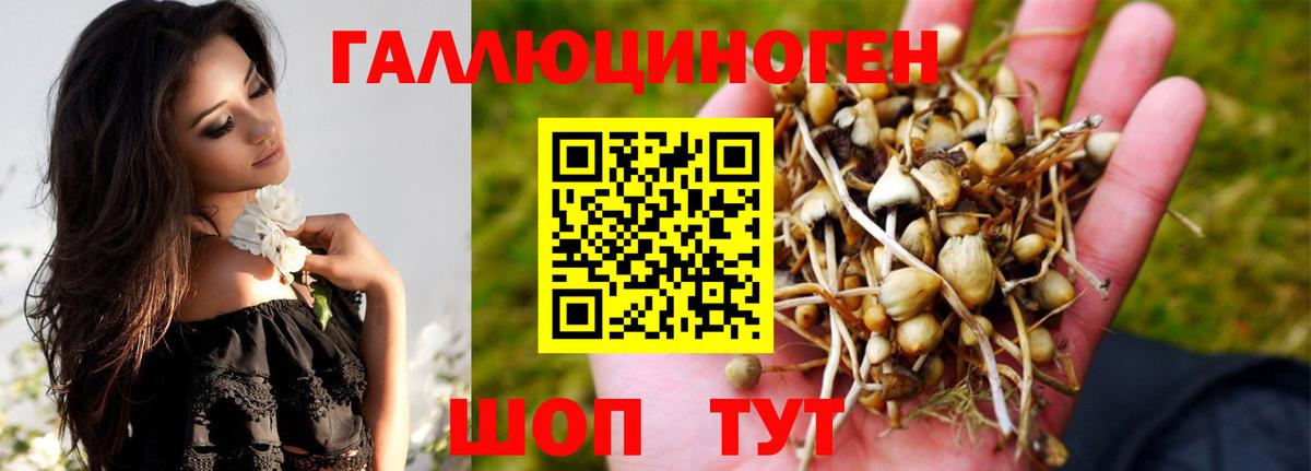 Арсеньев  Псилоцибиновые грибы GOLDEN TEACHER  Вход с VPN  Галлюциногенные грибы мицелий 